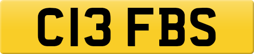 C13FBS