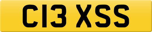 C13XSS