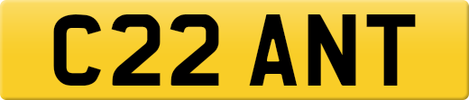 C22ANT