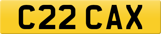 C22CAX