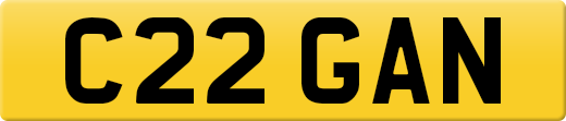 C22GAN