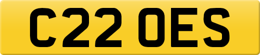 C22OES