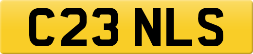 C23NLS