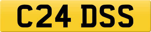 C24DSS