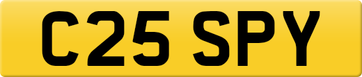 C25SPY