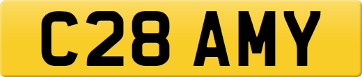 C28AMY