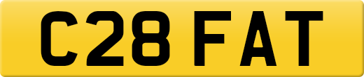 C28FAT