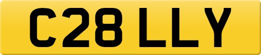 C28LLY