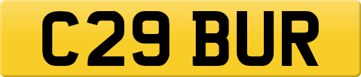 C29BUR