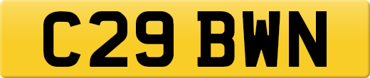 C29BWN