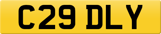 C29DLY