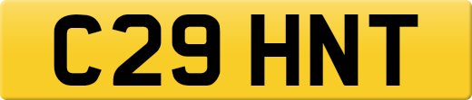 C29HNT