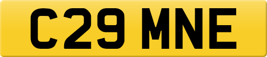 C29MNE