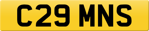 C29MNS
