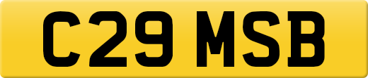 C29MSB