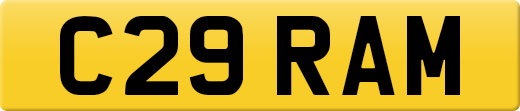 C29RAM
