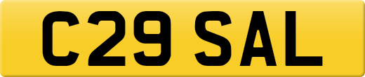 C29SAL