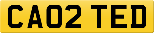 CA02TED