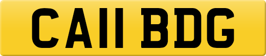 CA11BDG