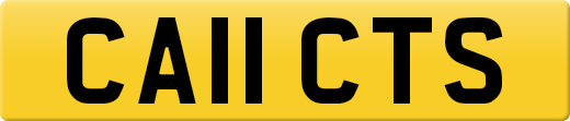 CA11CTS
