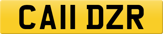 CA11DZR