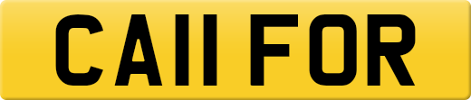 CA11FOR