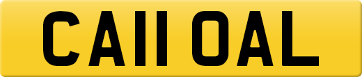 CA11OAL