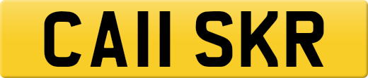 CA11SKR