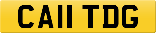CA11TDG