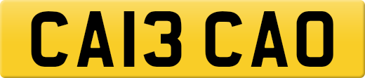 CA13CAO