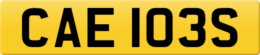 CAE103S