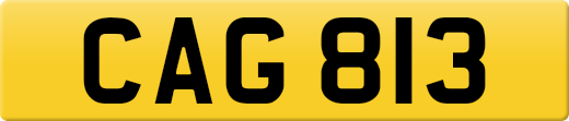 CAG813