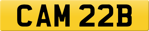 CAM22B