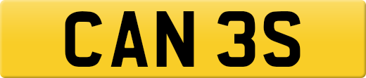 CAN3S
