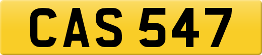 CAS547