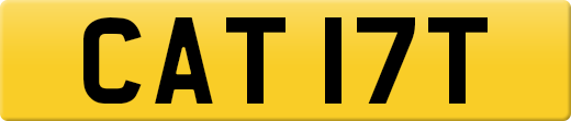 CAT17T