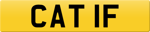 CAT1F