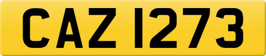 CAZ1273