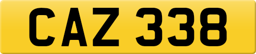 CAZ338