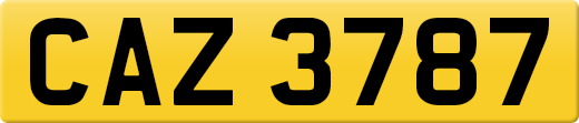CAZ3787