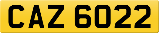 CAZ6022