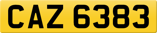 CAZ6383