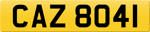 CAZ8041