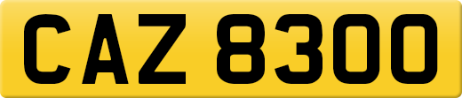 CAZ8300