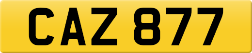 CAZ877