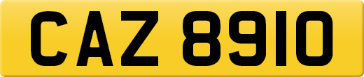 CAZ8910