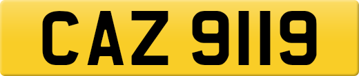 CAZ9119