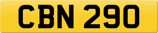 CBN290
