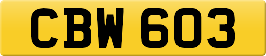 CBW603
