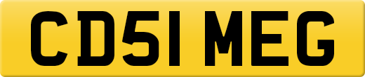 CD51MEG